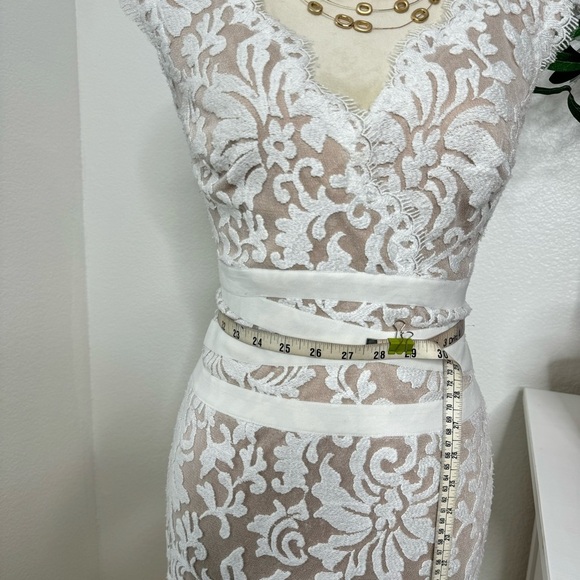 Tadashi Shoji Embroidered Lace Sheath Dress Size 0 - Picture 14 of 16